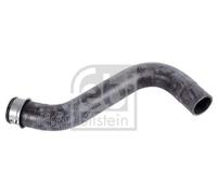 FEBI BILSTEIN 170439 Radiator hose