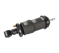 FEBI BILSTEIN 171956 Shock Absorber, cab suspension