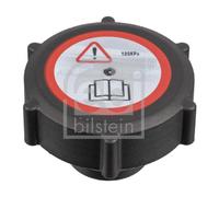 Febi 172489 Coolant Tank Cap Fits Ford Scorpio Transit Tourneo 1000249