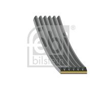 FEBI BILSTEIN Serpentine Belt 179843 - Ferdinand Bilstein