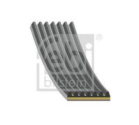 FEBI BILSTEIN 192642 Serpentine belt
