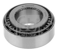 Wheel And Gear Shaft Bearing 19790 Febi 1602391 001905261 0001905261 01905261