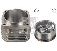 Cylinder Liner 23947 Febi A5411300008 5411300008 Genuine Top Quality Guaranteed