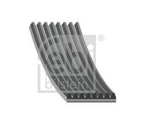 febi bilstein 29061 Auxiliary Belt
