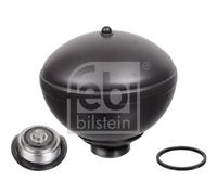 Suspension pneumatic sphere Rear Axle Left 38291 FEBI BILSTEIN for CITROËN