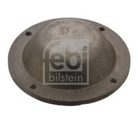 Febi 43768 Protection Lid Wheel Hub Fits Daf 65 Cf 75 85 95 Xf Lf 55