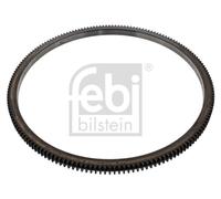 Ferdinand Bilstein Starter Ring Gear 44304 - Fits DAF 1260/1290 MX CF MX-EPA07/10 MX-EU 508mm 167T