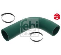 FEBI BILSTEIN 49152 Radiator hose