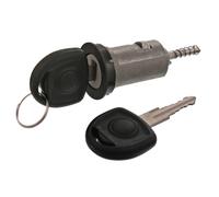 Ferdinand Bilstein Ignition Barrel Lock 18167 – Silver – With Key – Pack of 1