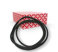 febi bilstein 02789 Windshield Weatherstrip, pack of one