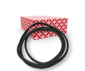 febi bilstein 02789 Windshield Weatherstrip, pack of one