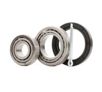FEBI BILSTEIN 05394 Wheel bearing kit