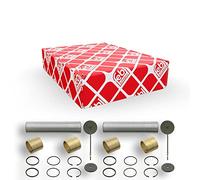 febi bilstein 06017 King Pin Set without thrust bearing, double set, pack of one