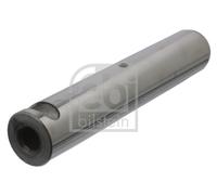 FEBI BILSTEIN 09581 Spring Bolt for MAN