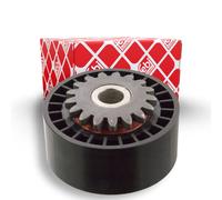 FEBI BILSTEIN 09789 Deflection / guide pulley, V-ribbed belt