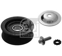 FEBI BILSTEIN 100091 Deflection / guide pulley, V-ribbed belt