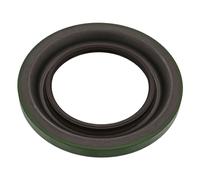 FEBI BILSTEIN 100550 Differential Shaft Seal Rear Replacement Fits Volvo