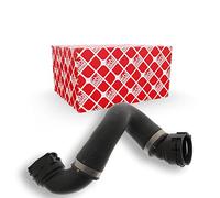 FEBI BILSTEIN 100617 Radiator hose