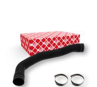 FEBI BILSTEIN 101238 Radiator hose