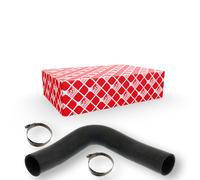 FEBI BILSTEIN 101251 Radiator hose