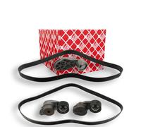 FEBI BILSTEIN 101431 V-Ribbed Belt Set