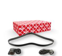 FEBI BILSTEIN 101432 V-Ribbed Belt Set