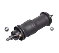 Febi Bilstein 101791 Cab Shock Absorber