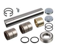 FEBI BILSTEIN 102053 Kingpin Repair Kit Suspension 35mm Outer Diameter Fits DAF