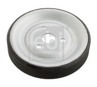 FEBI BILSTEIN Water Pump Pulley 102466
