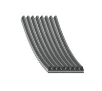 Febi Bilstein 104656 V-Ribbed Belt Number 8 Pack of 1