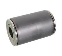 FEBI BILSTEIN 105890 Bush, leaf spring