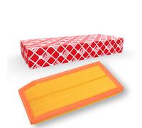 FEBI BILSTEIN 106098 Air filter