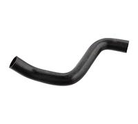 Febi Bilstein 106573 Air Vent Hose for Crankcasing, 1 Piece