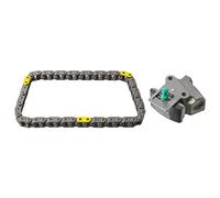Febi Bilstein 107267 Timing Chain Set with Chain Tensioner 1 Piece