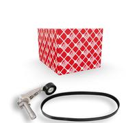 FEBI BILSTEIN 107424 V-Ribbed Belt Set