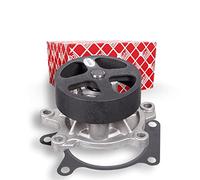 Febi Bilstein 107807 Water Pump with Seal 1 Piece