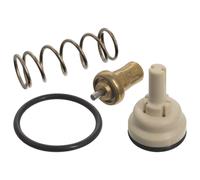 FEBI BILSTEIN 109021 Coolant Thermostat Fits Seat Ibiza MK4 SC ST Skoda Rapid VW