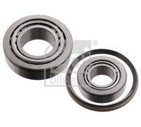 FEBI BILSTEIN 11418 Wheel bearing kit