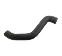 FEBI BILSTEIN 12986 Radiator hose