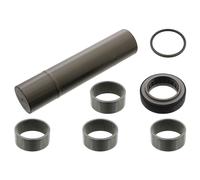 FEBI BILSTEIN 15865 Repair Kit, kingpin