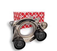 Febi Bilstein 170248 Tensioner Assembly for auxiliary belt , 1 piece