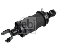 FEBI BILSTEIN 170524 Shock Absorber, cab suspension