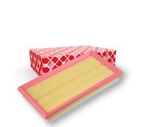 FEBI BILSTEIN 170738 Air filter