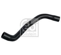 FEBI BILSTEIN 171238 Radiator hose