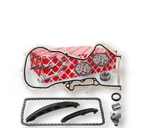 FEBI BILSTEIN 171596 Timing chain kit
