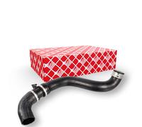 FEBI BILSTEIN 172431 Radiator hose