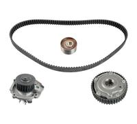FEBI BILSTEIN 173066 Water pump and timing belt kit