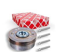 febi bilstein 173069 pulley (decoupled)