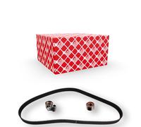 FEBI BILSTEIN 173325 Timing belt kit
