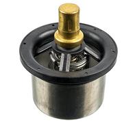 febi bilstein 173716 Thermostat